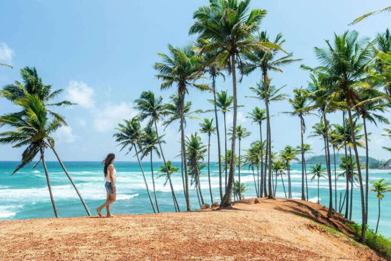 From Colombo: 2-Day Southern Coast Wildlife & Heritage Tour - The Practicalities: What It Means for You