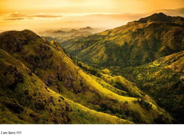 From Colombo: 2-Day Tour to Nuwara Eliya & Transfer Ella - Day 2: From Nuwara Eliya to Ella