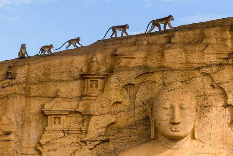 From Colombo: 4-Day Essence of Sri Lanka Heritage Tour - An In-Depth Look at the Itinerary