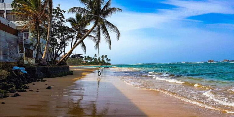 From Colombo: Galle Guided Tour with Herbal Massage - Analyzing the Value