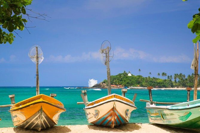 From Colombo/ Negambo - Southern SriLanka Day Trip - Transportation and Overall Value