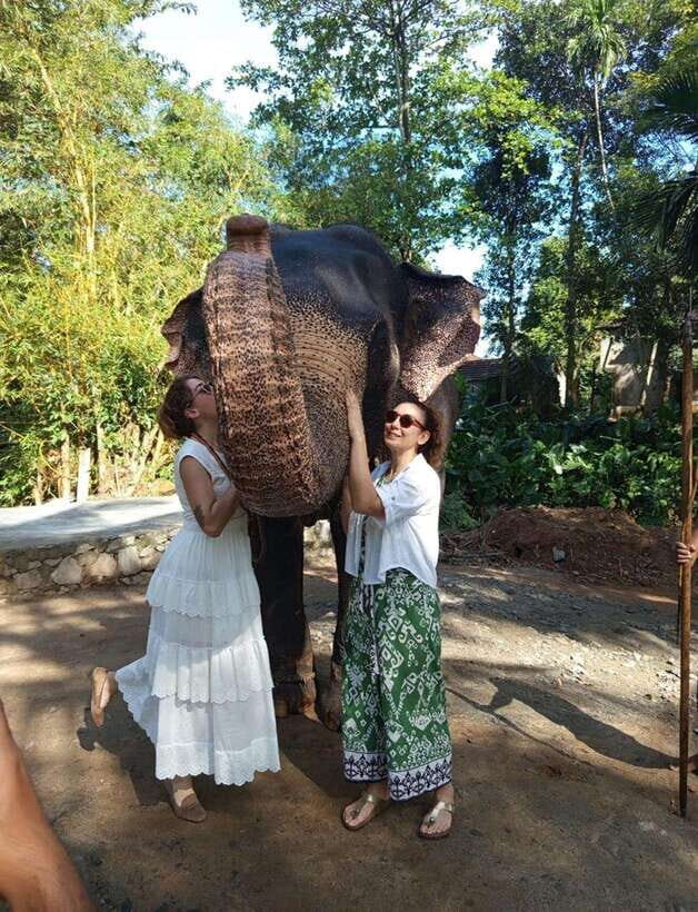 From Colombo or Negombo: Pinnawala, Kandy & Tea Factory Tour - Authenticity and Real Experiences