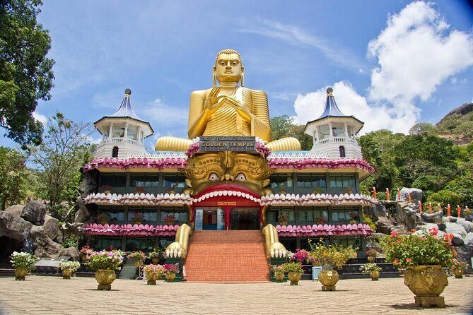 From Colombo: Sigiriya and Dambulla Day Trip and Safari - What the Reviews Reveal: Honest Perspectives