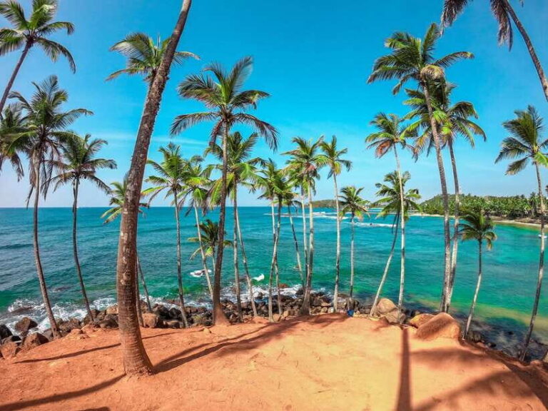 From Colombo to Yala 6-Day Private Trip with 21-Sites - Evaluating the Value