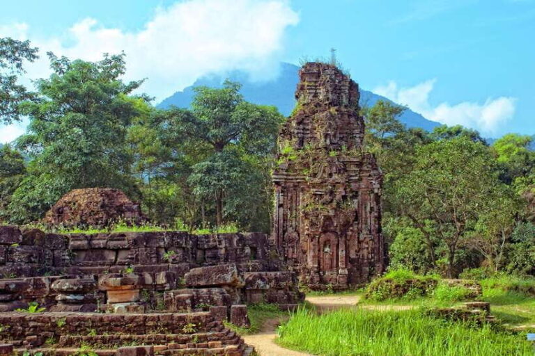 From Da Nang/Hoi An: My Son Sanctuary Half-Day Private Tour - The Practical Side: What’s Included and What’s Not