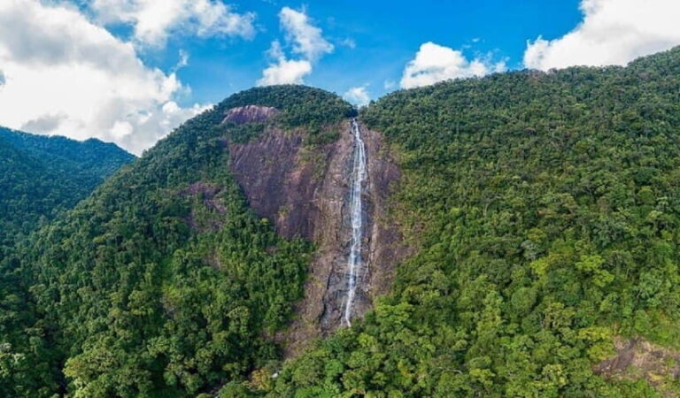 From Da Nang/Hue: Bach Ma National Park Day Trip - Transportation, Guides, and Value