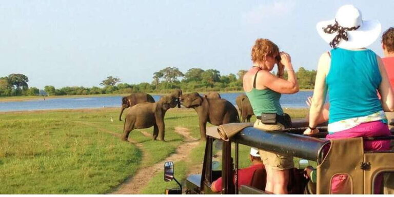From Dambulla: Full Day Safari at Minneriya National Park - Who This Tour Is Best For
