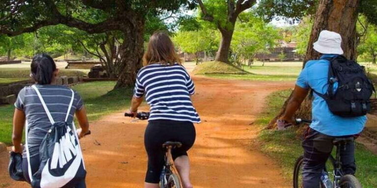 From Dambulla/ Sigiriya: Ancient City of Polonnaruwa by Bike - Who Should Consider This Tour