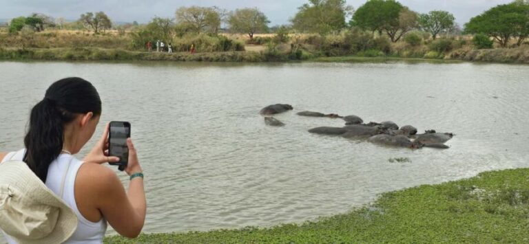 From Dar es Salaam: 3 Days Safari to Mikumi Park with Maasai - Day 2: A Full Day of Wildlife Exploration