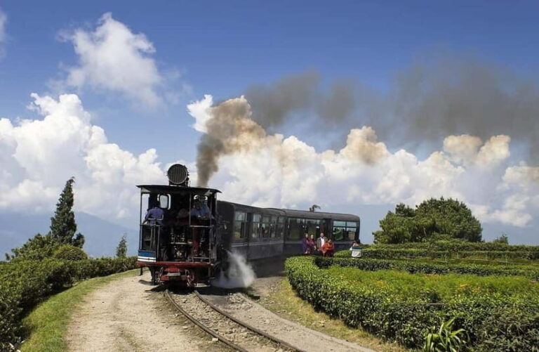 From Darjeeling: 8-Day Sandakphu Circuit Trek - What Makes This Tour Stand Out?