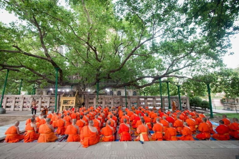 From Delhi: 14-Day Round-trip Buddhist Trail w/ Nepal Entry - The Experience: What You Can Expect
