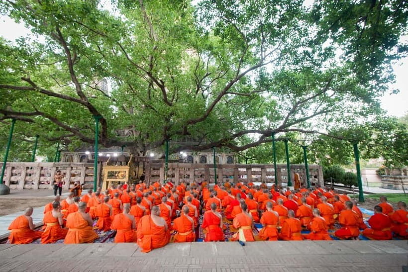 From Delhi: 14-Day Round-trip Buddhist Trail w/ Nepal Entry - The Experience: What You Can Expect