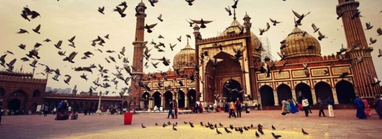 From Delhi : 3 Days Golden Triangle Tour - Delhi Agra Jaipur - Value and Practicality