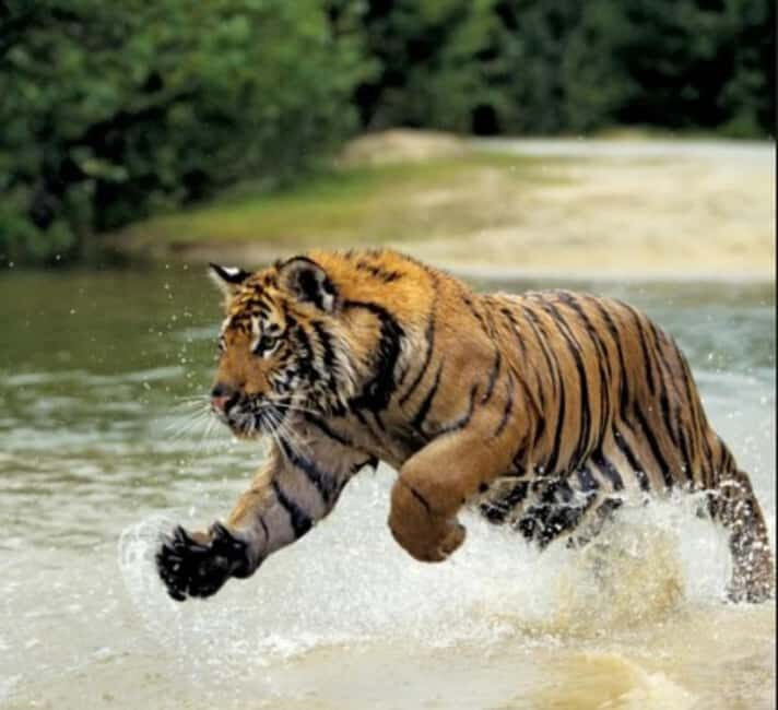 From Delhi: 5-Day Golden Triangle Tour with Ranthambore - Practical Details and Why They Matter