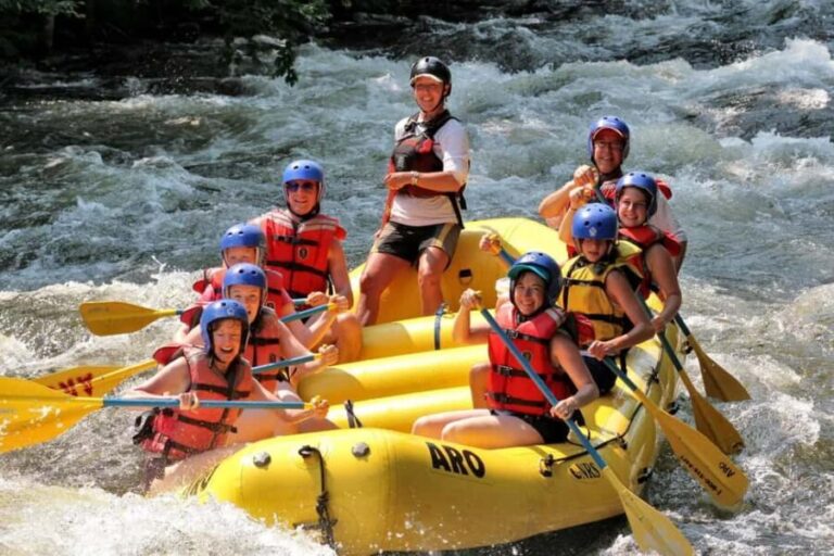 From Delhi: Golden Triangle Tour with Rishikesh+Jim corbett - Analyzing the Value