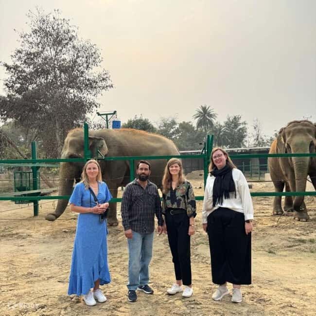 From Delhi/Jaipur: Taj Mahal & Elephant SOS Tour with Lunch - Why This Tour Works for Travelers