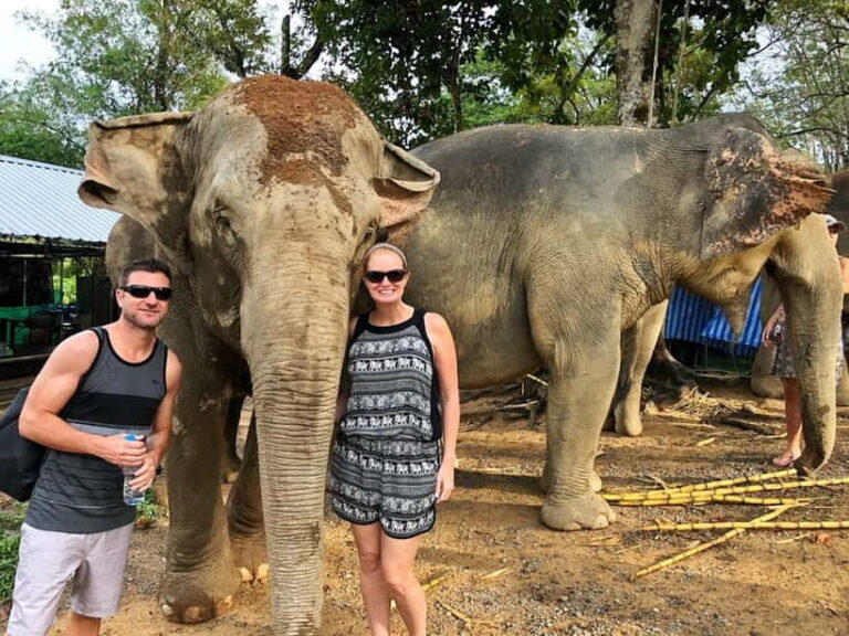 From Delhi: Jaipur Tour with Guide, Transport & Elephants - Authenticity and Value