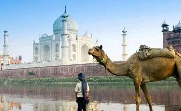 From Delhi: Overnight Taj Mahal & Agra City Tour by Car - What’s Included & What’s Not