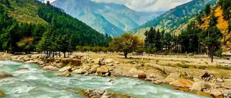 From Delhi: Rishikesh Guided Day Tour by Car - Analyzing the Value