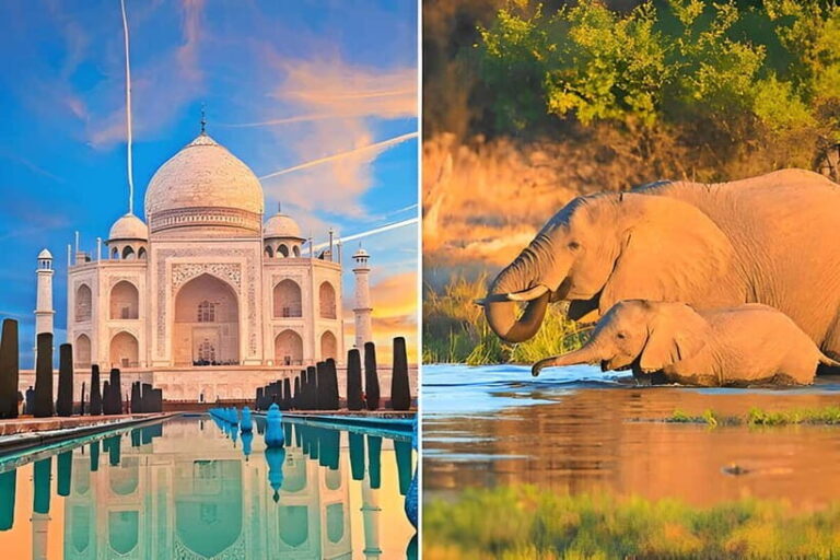 From Delhi: Sunrise Taj Mahal and Elephant Conservation Tour - How the Tour Adds Value