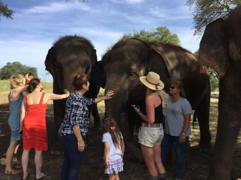 From Delhi: Sunrise Taj Mahal Tour With Elephant SOS - Why This Tour Stands Out