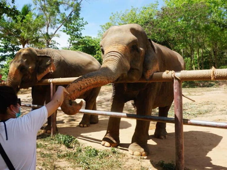 From Delhi: Taj Mahal, Agra Fort & Elephant Center Day Trip - Visiting the Elephant Conservation Center