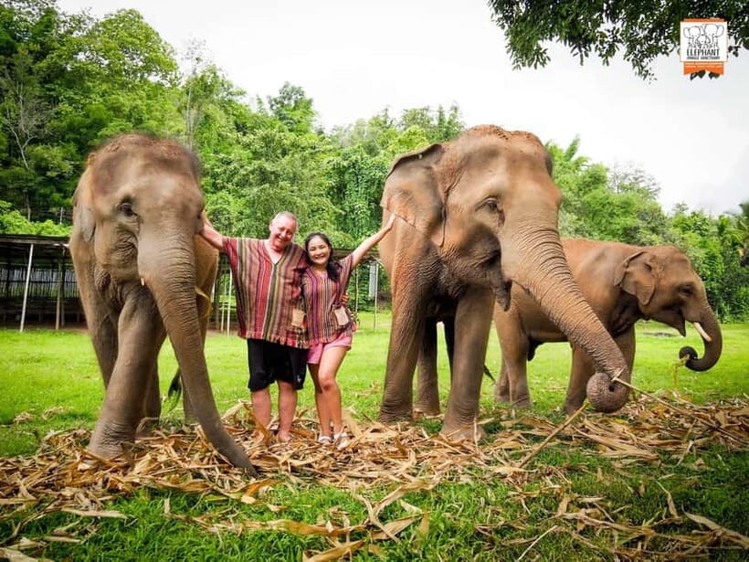 From Delhi: Taj Mahal, Agra Fort & Elephant Sanctuary Tour - Analyzing the Value
