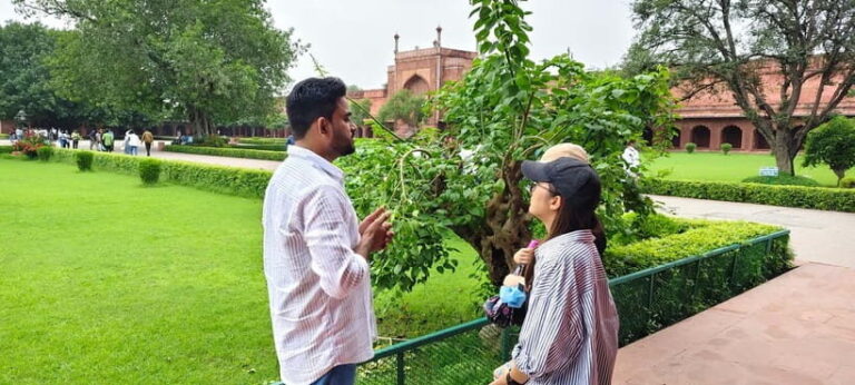 From Delhi: Taj Mahal & Agra Tour by Gatimaan Express Train - What the Tour Means for You
