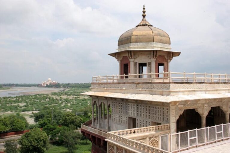 From Delhi: Taj Mahal Sunrise Tour with Elephant SOS Centres - The Experience in Detail