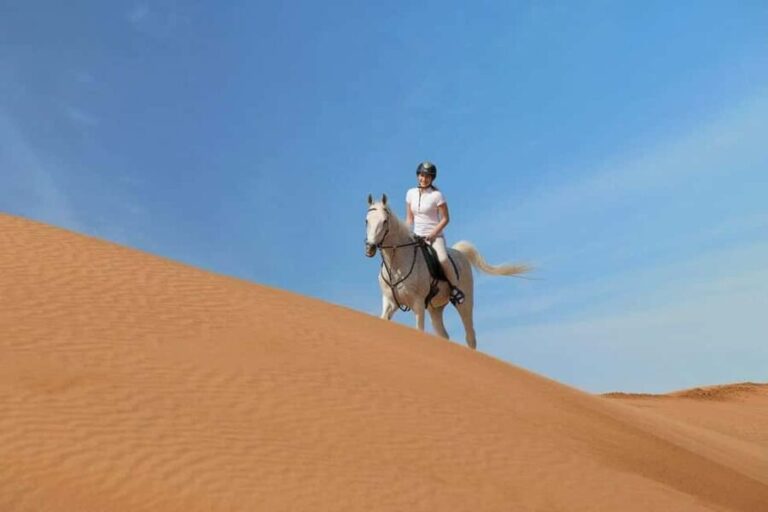 From Doha: Experience Horse Riding In Qatar Desert - An In-Depth Look at the Horse Riding Experience in Qatar’s Desert