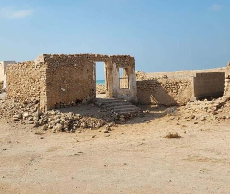 From Doha: Northern Qatar Guided Tour - Who Should Consider This Tour?