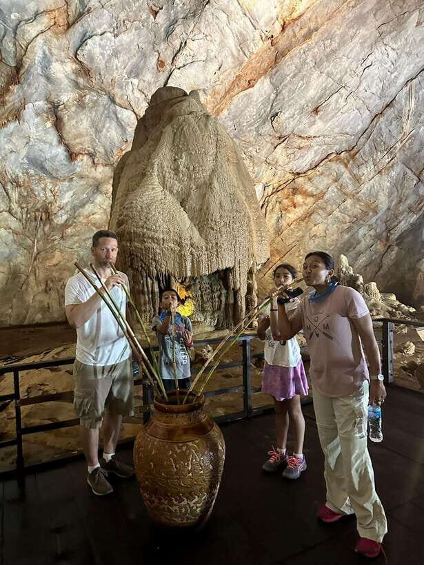 From Dong Hoi: Paradise Cave and Mooc Spring Day Trip - An In-Depth Look at the Tour Experience