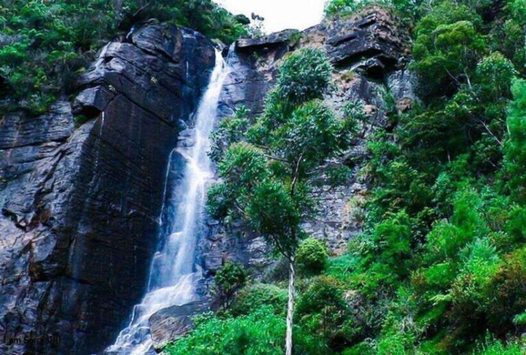 From Ella: 2-Day Tour to Nuwara Eliya and Kandy with Drop - The Practicalities: What’s Included and What’s Not