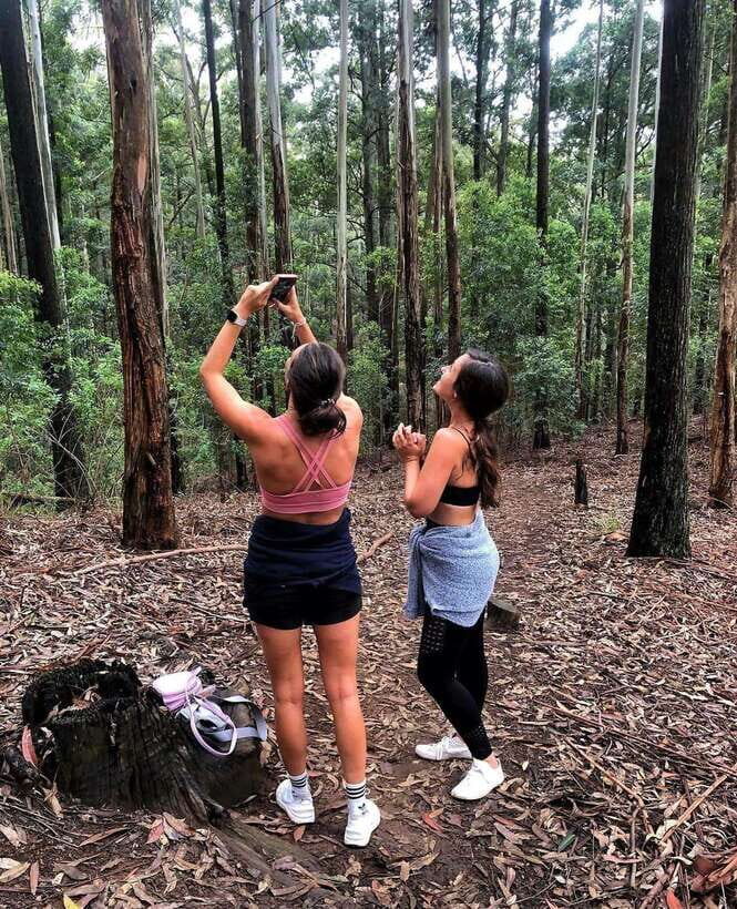 From Ella- All Inclusive Day Trip to Experience Ella & Train - Transportation and Practicalities