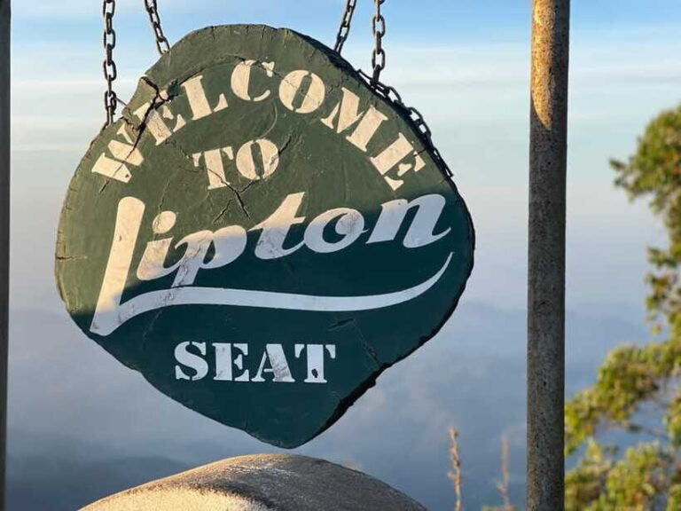 From Ella: Lipton Seat & Dambatenne Tea Factory Day Tour - Authenticity and Practical Tips
