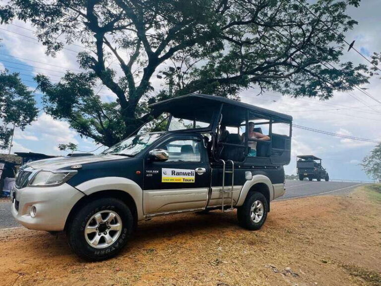 From Ella: Yala National Park Safari & back to Ella - The Practical Side: What’s Included and What to Budget For