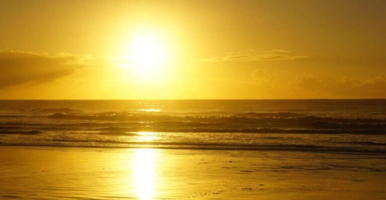 From Essaouira: 1-Hour Horse Ride with sunset - Authenticity and Traveler Feedback