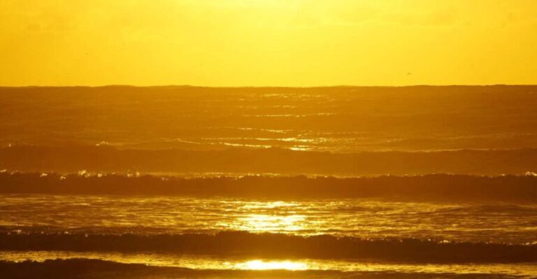 From Essaouira: 2h Horseback Ride with Sunset - Key Points