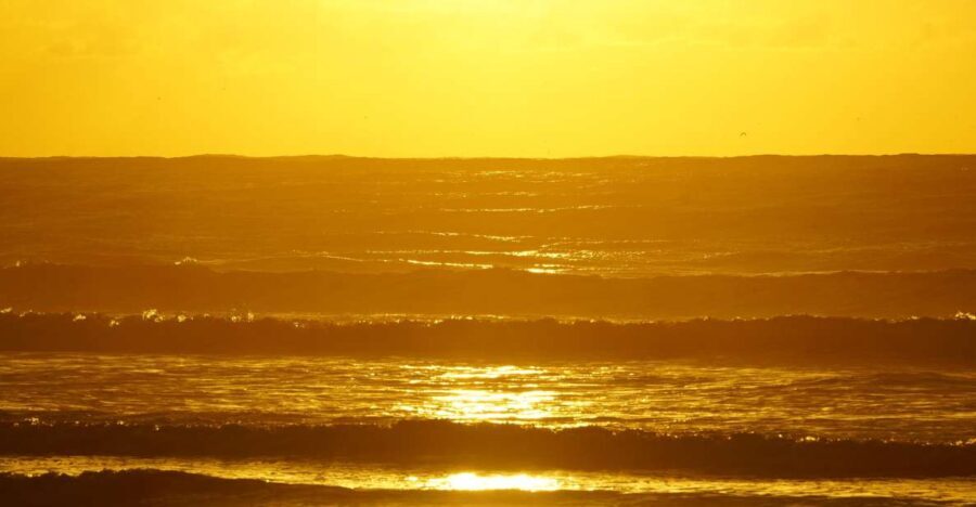 From Essaouira: 2h Horseback Ride with Sunset - Key Points