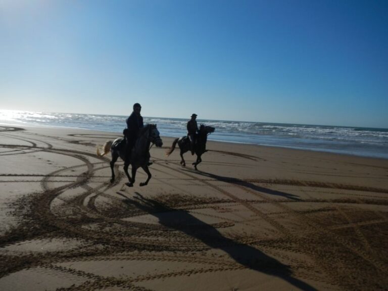 From Essaouira: Scenic Diabat Horseback Ride with Transfer - Analyzing the Value