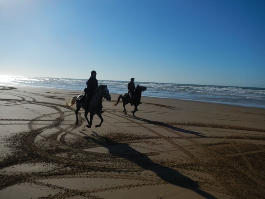 From Essaouira: Scenic Diabat Horseback Ride with Transfer - Analyzing the Value