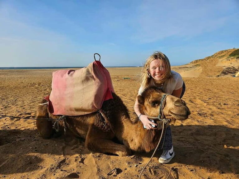From Estepona: Tangier Day Trip with Ferry & Camel & Souk - What Makes This Tour Stand Out?