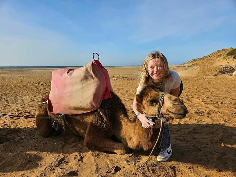 From Estepona: Tangier Day Trip with Ferry & Camel & Souk - What Makes This Tour Stand Out?
