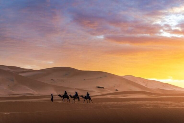 From Fes: 4-Day Desert Tour to Marrakech - What to Expect on Your Moroccan Desert Tour