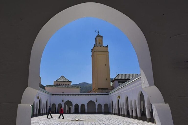 From Fes: Day Trip to Meknes, Volubilis, Moulay Idriss - A Step-by-Step Look at the Tour