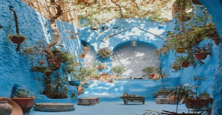 From Fez: Chefchaouen Guided Day Tour - Transportation and Timing