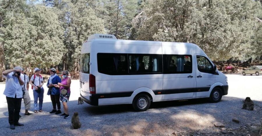 From Fez: Middle Atlas Day Trip with Ifrane National Park