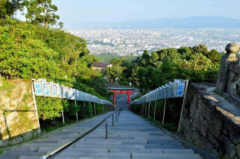 From Fukuoka: 5-Hour Kurume Shrine & Local Food Tour - Who Should Consider This Tour?
