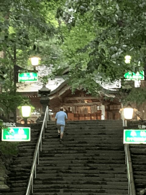 From Fukuoka: Mythical "Takachiho" Day Trip by PRIVATE Bus - The Itinerary in Detail