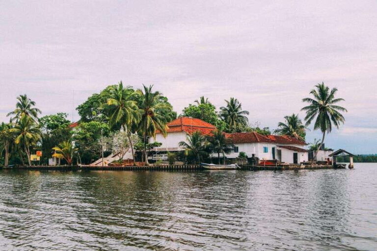 From Galle: Exclusive Madu River Safari & Turtle Hatchery - Why We Think This Tour Works Well